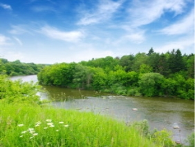 Международный день рек (Международный день действий против плотин ...
